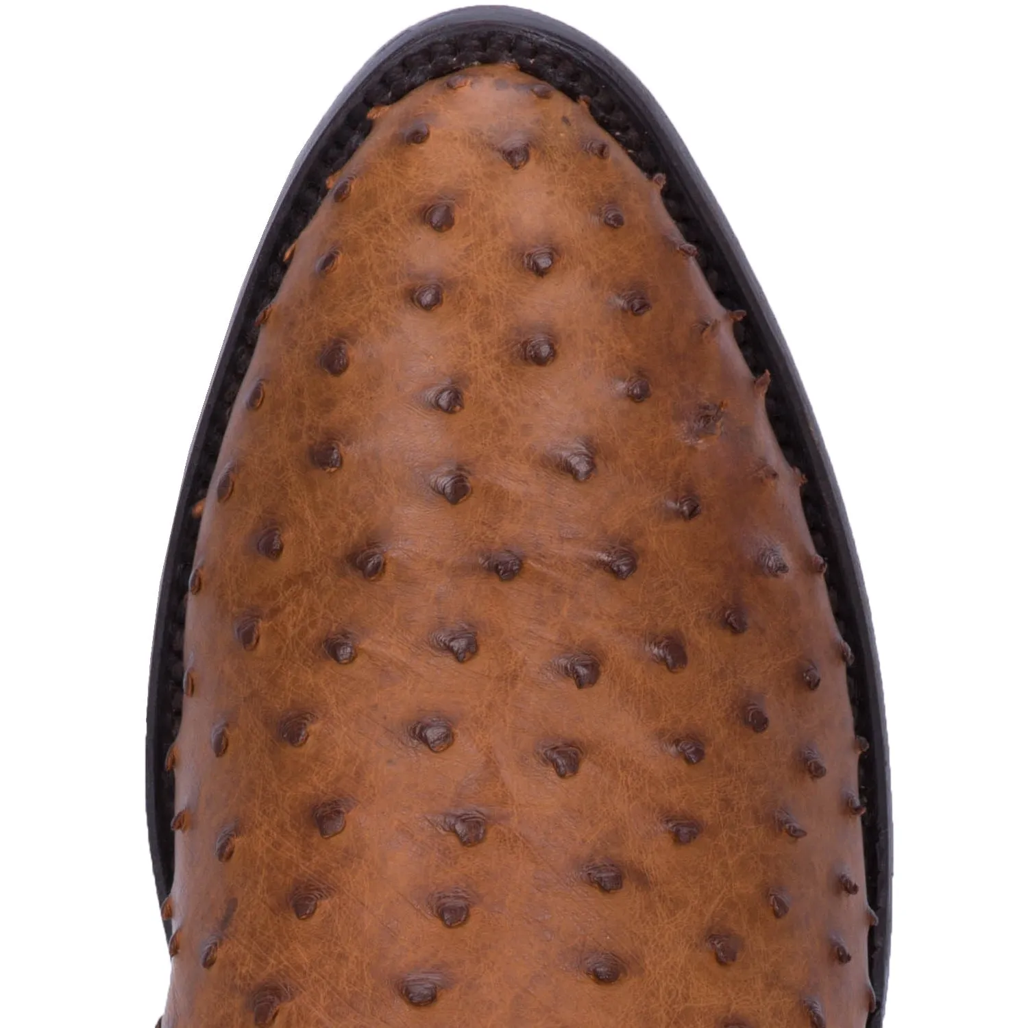 Men's Dan Post Tempe Full Quill Ostrich R-Toe - DP2323